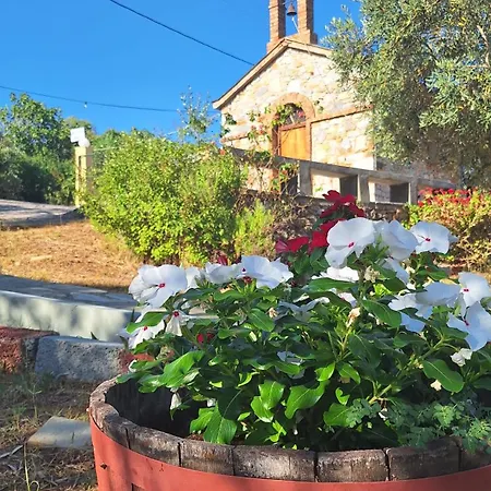 Apartmán Armonia Panormos (Skopelos)