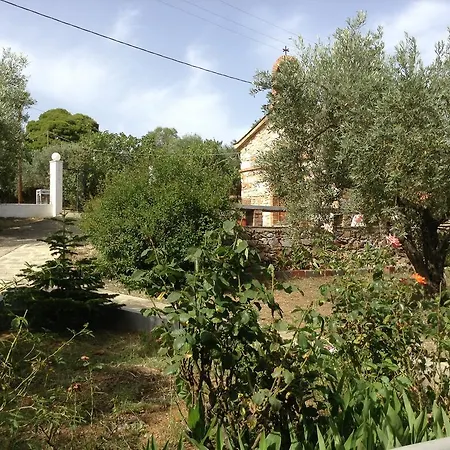 Apartment Armonia Panormos (Skopelos)